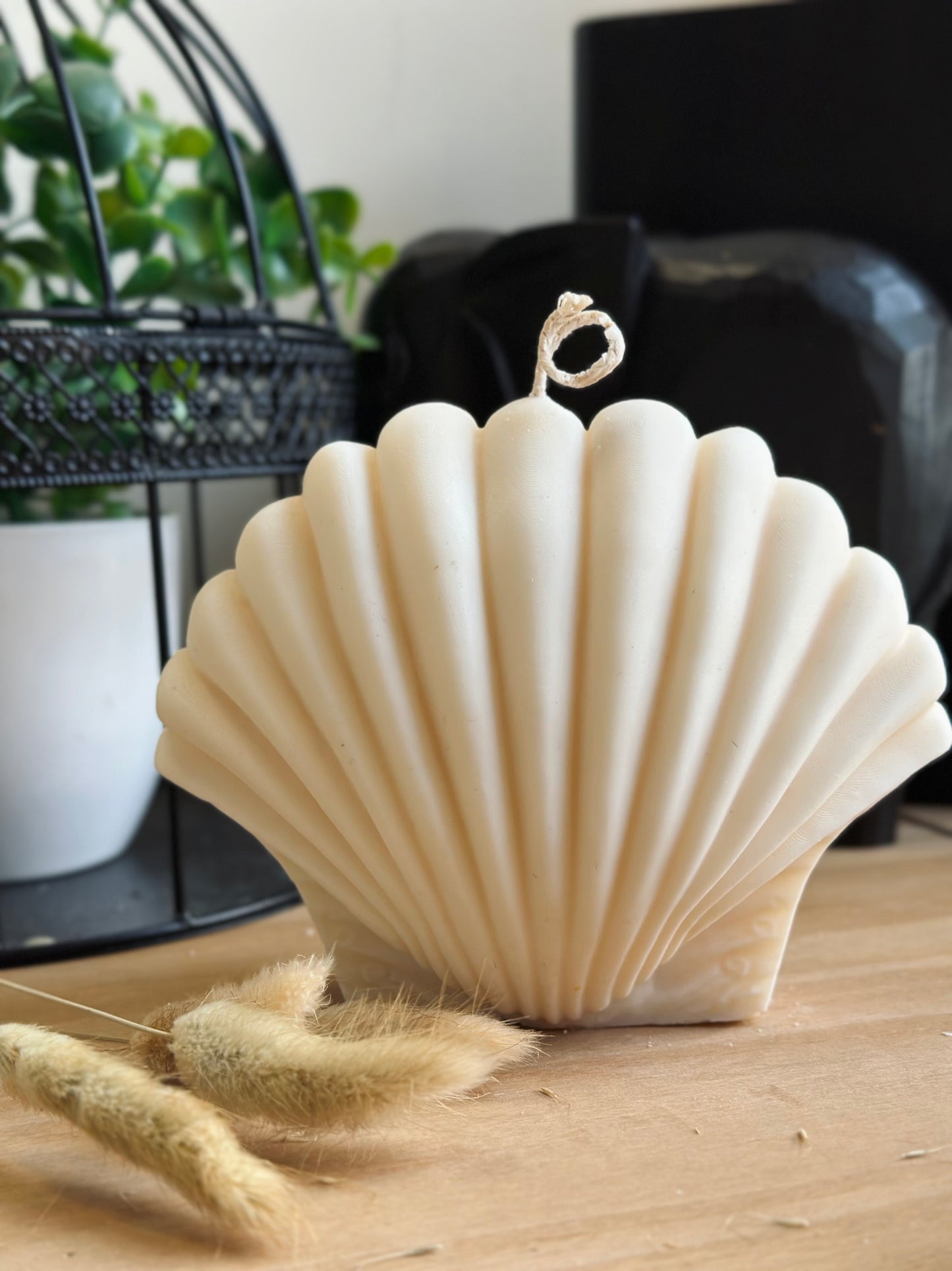 Seashell